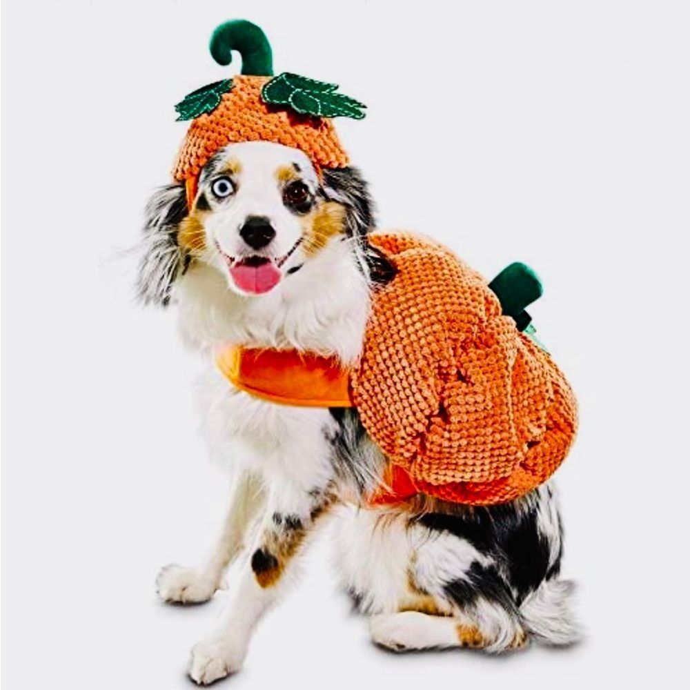 Bootique Pumpkin Dog Costume Halloween Cat Pet Medium